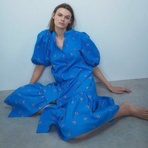 Zara Embroidered Floral Midi Dress